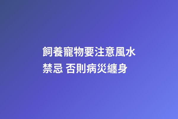 飼養寵物要注意風水禁忌 否則病災纏身